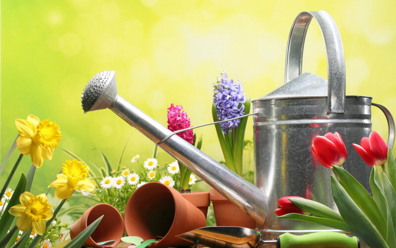 Garden Tools and Flowers — Green, Serene, Spring, Photograph