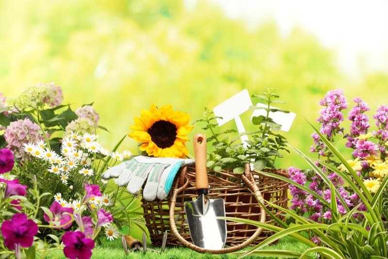 Garden Tools and Flowers — Green, Serene, Spring