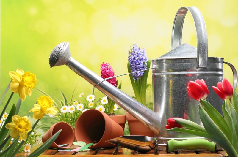 Garden Tools and Flowers — Green, Serene