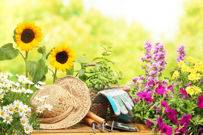 Garden Tools and Flowers