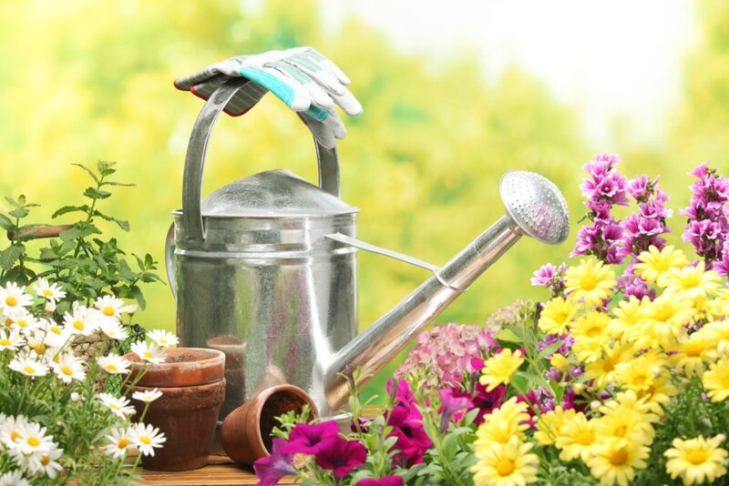 Garden Tools and Flowers — Yellow