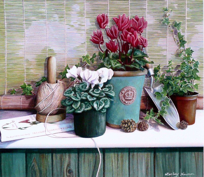 garden tools and plants on a windowsill