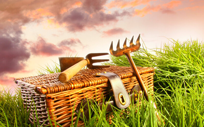 Garden Tools in Basket — Green