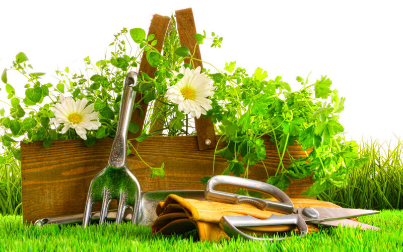 Garden Tools in Basket