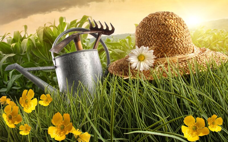Garden Tools in Grass — Green