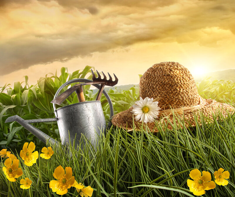 Garden Tools in Grass