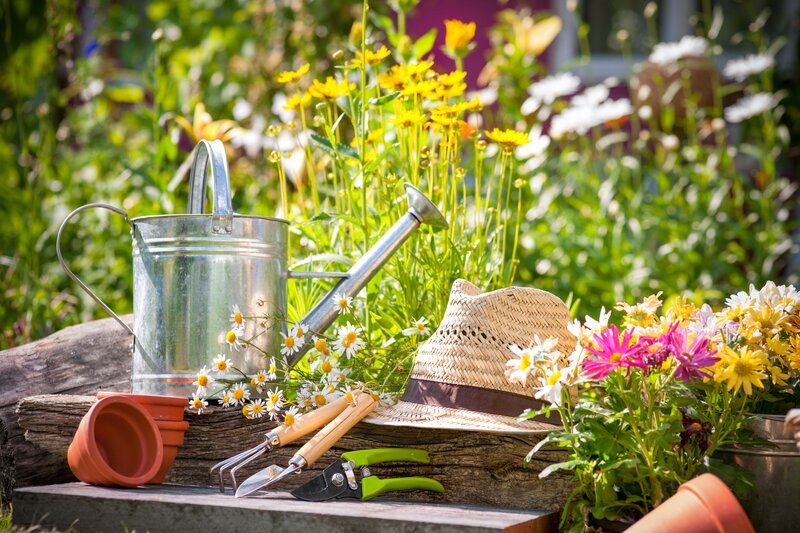 Garden Tools on Log