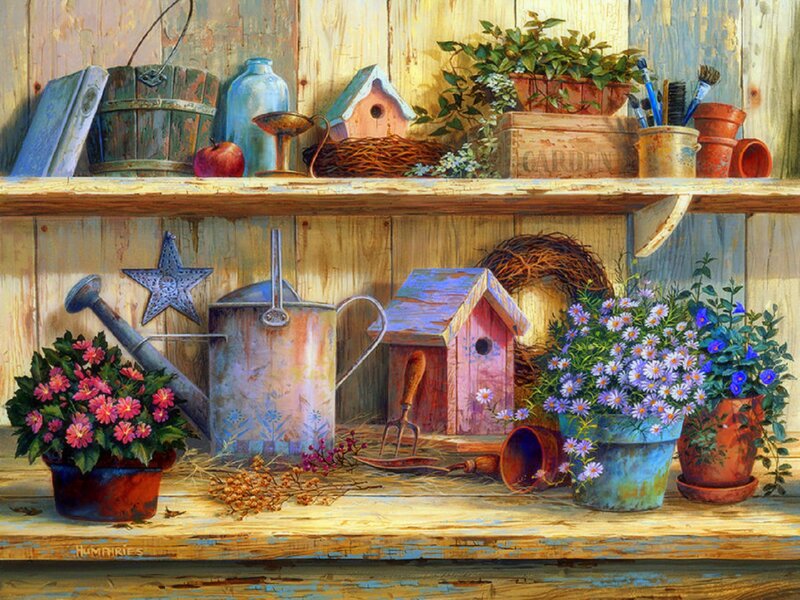 Garden Tools on Shelves