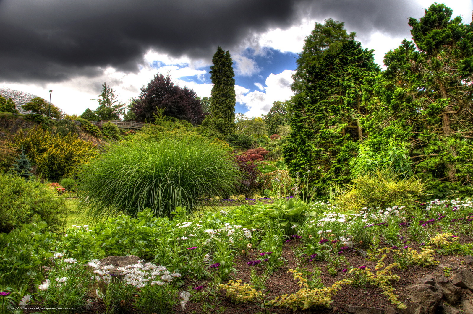 Garden under stormy sky