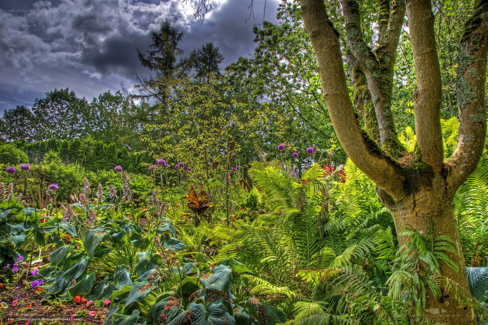 Garden under stormy sky