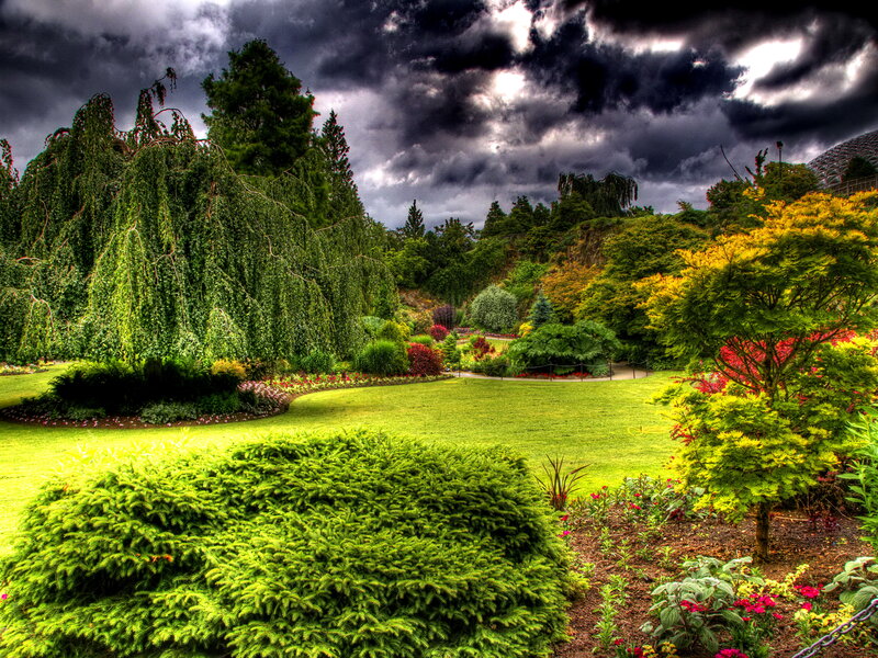 Garden under Stormy Sky — Green