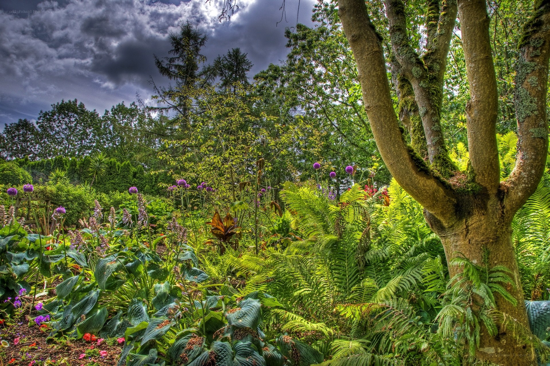 Garden under stormy sky