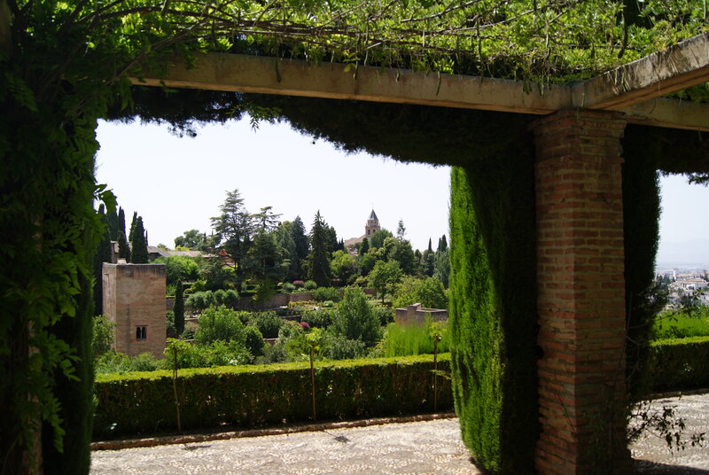 Garden View from Pergola