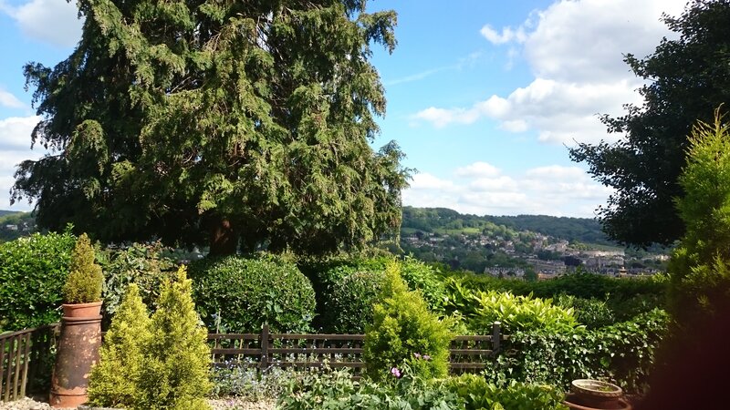 Garden View of Town