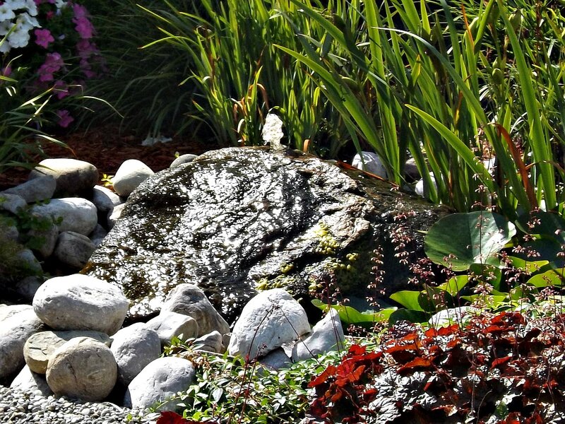 Garden Water Feature — Green, Serene