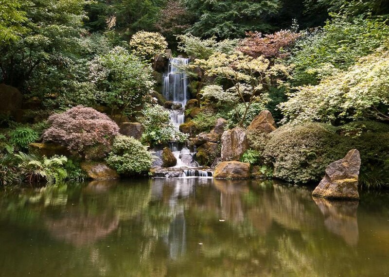 Garden waterfall and pond