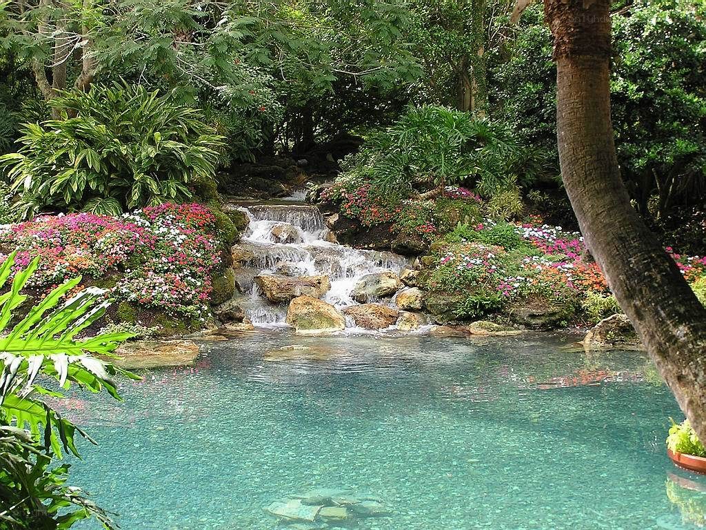 Garden waterfall and pool