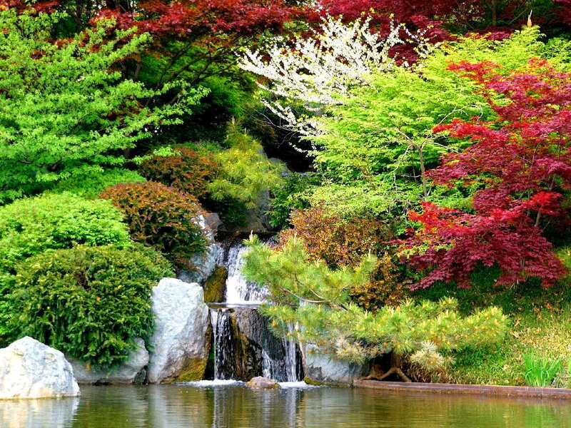 Garden Waterfall — Green, Serene