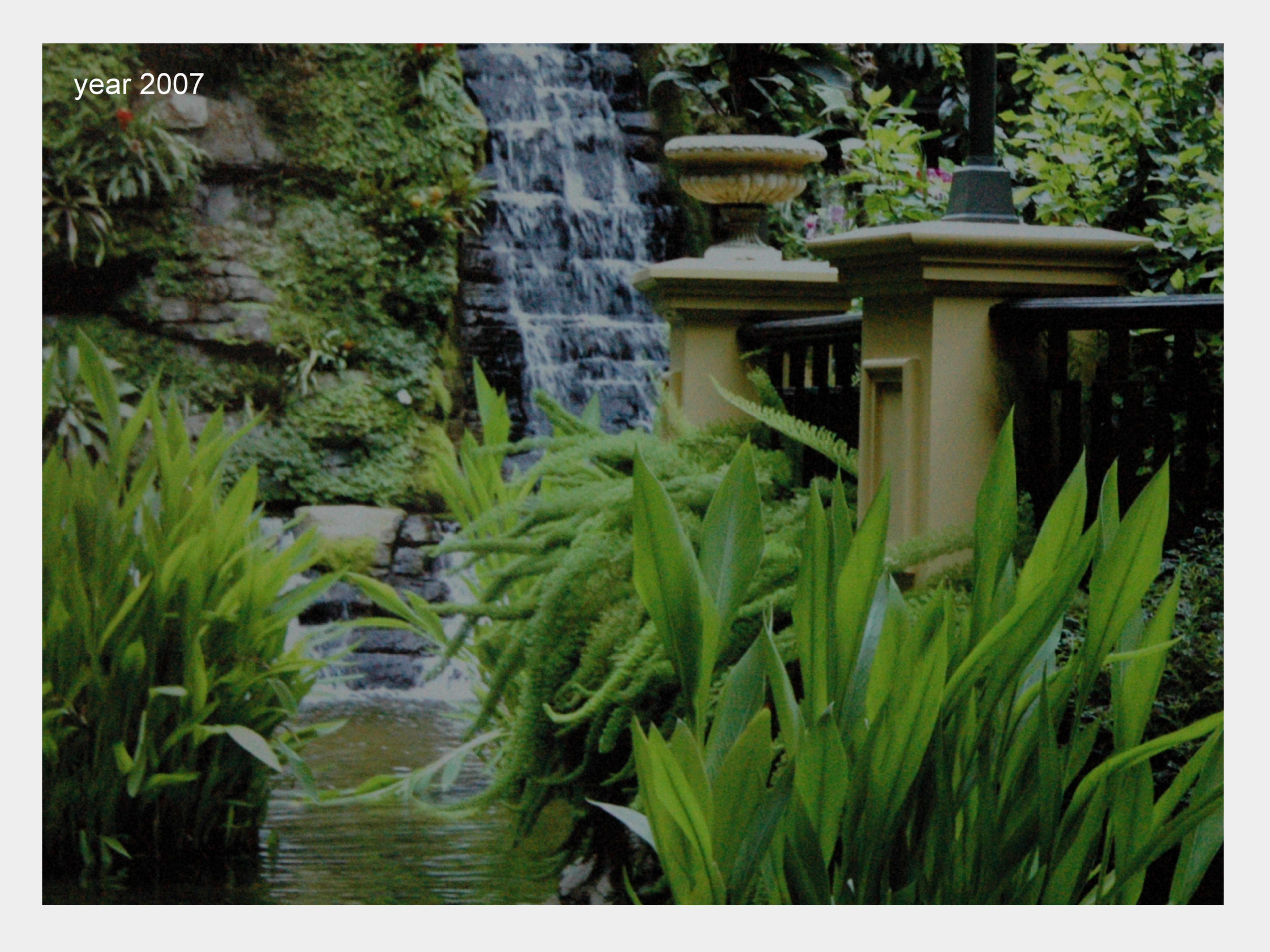 Garden waterfall in year 2007