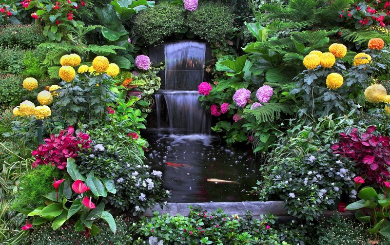 Garden Waterfall Pond — Green, Serene, Afternoon
