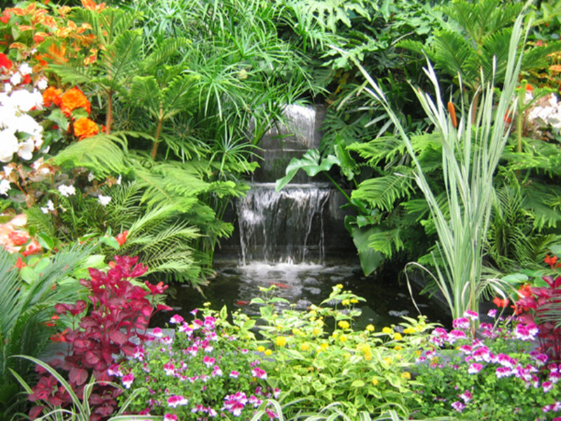 Garden Waterfall Pond — Green, Serene
