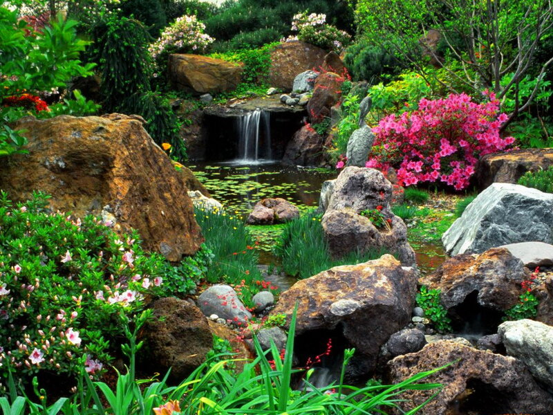 Garden Waterfall Pond