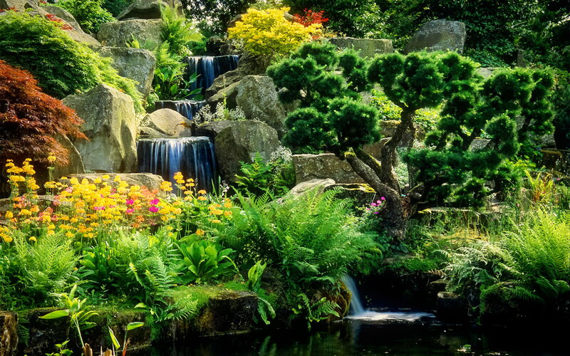 Garden Waterfall Scene — Green, Serene, Afternoon