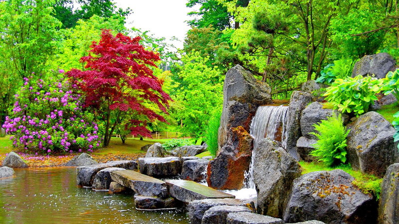 Garden Waterfall Scene — Green, Serene, Spring, Photograph