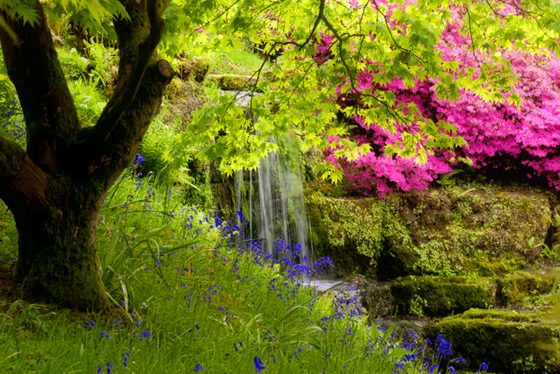 Garden Waterfall Scene — Green, Serene, Spring, Photograph, Tree, Flowers