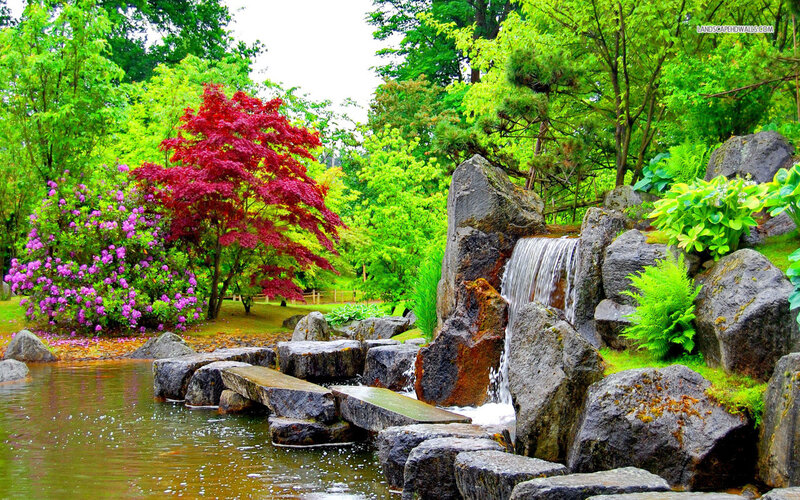 Garden Waterfall Scene — Green, Serene, Spring, Photograph, Tree