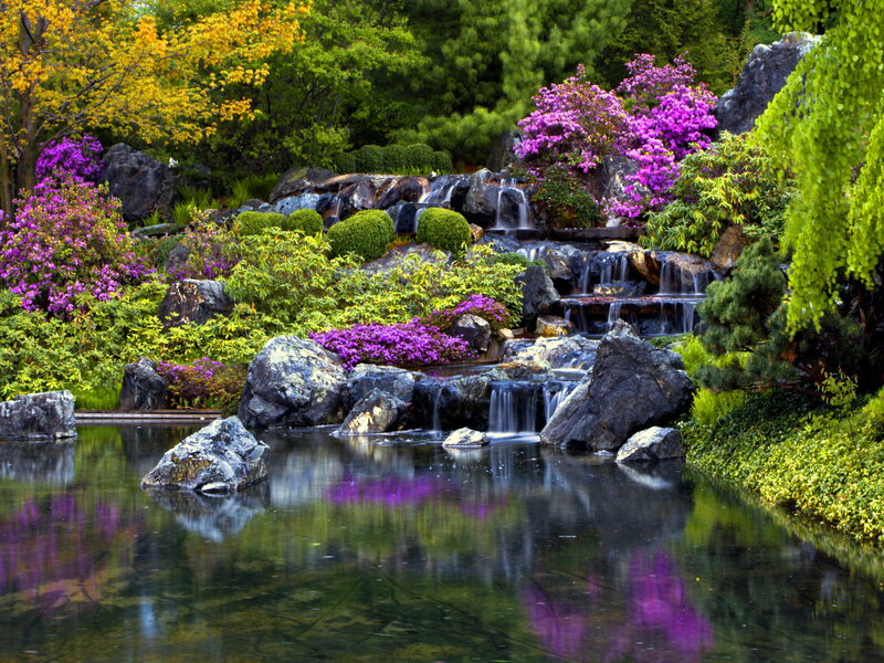 Garden Waterfall Scene — Purple, Serene
