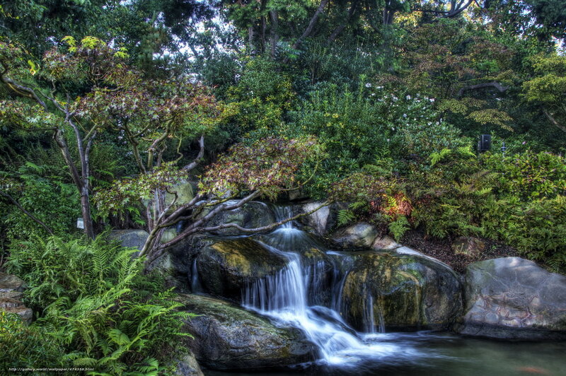 Garden waterfall scene