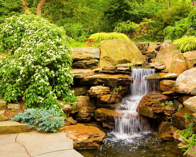 Garden waterfall with flowering shrubs