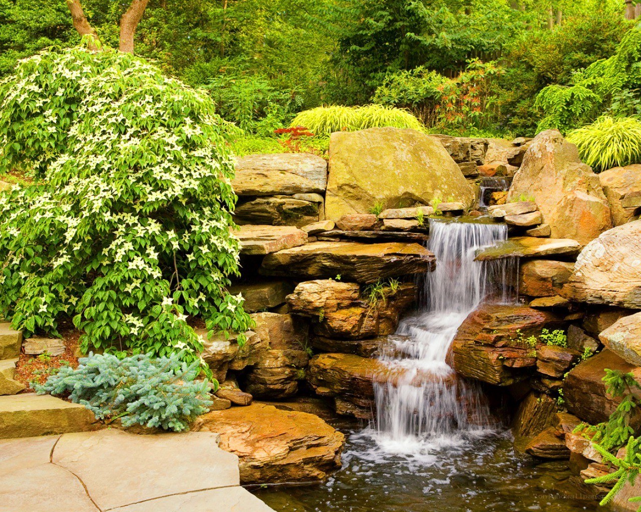 Garden waterfall with flowering shrubs