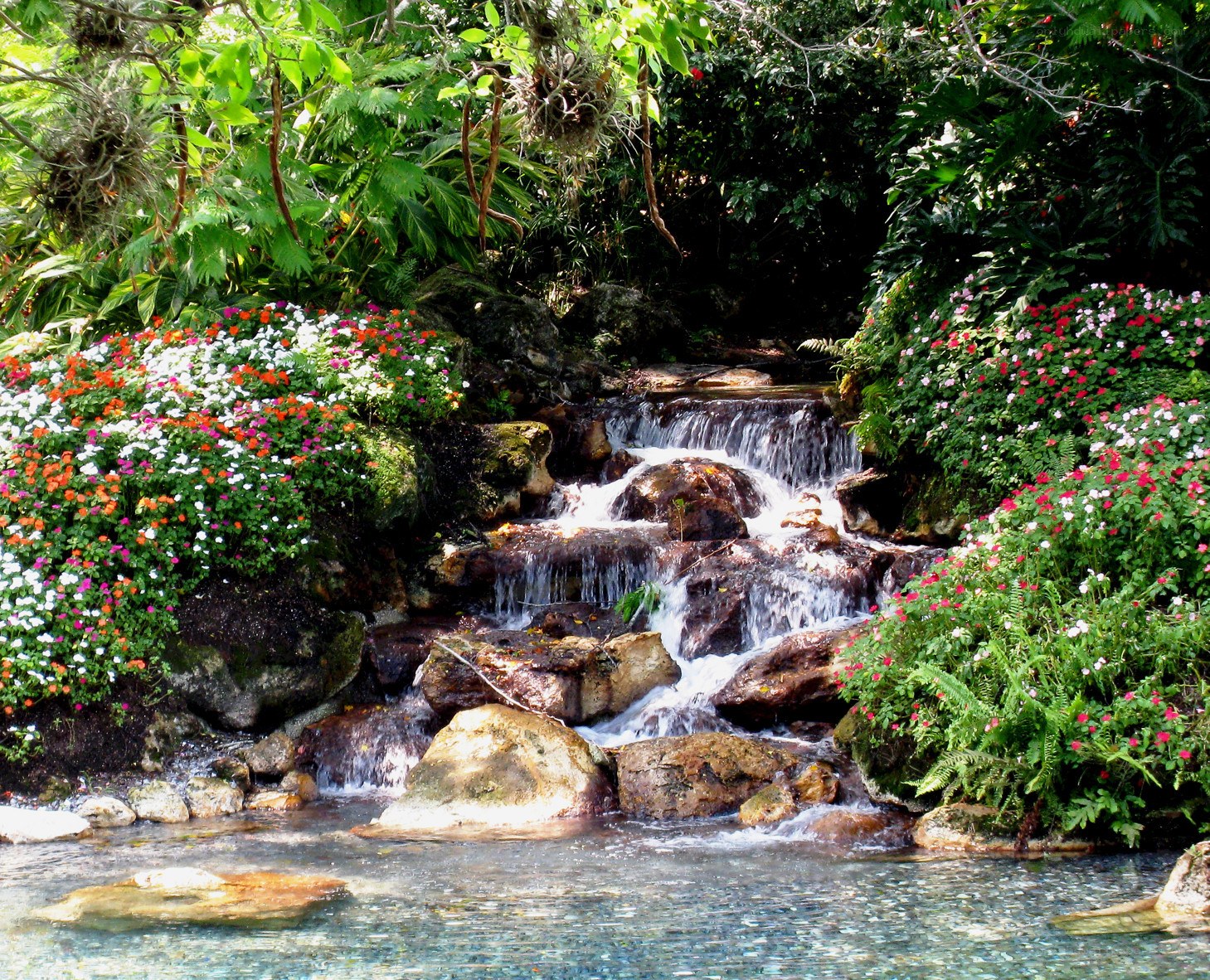 Garden waterfall with flowers