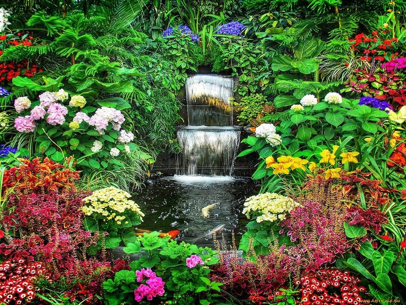 Garden Waterfall with Koi — Green