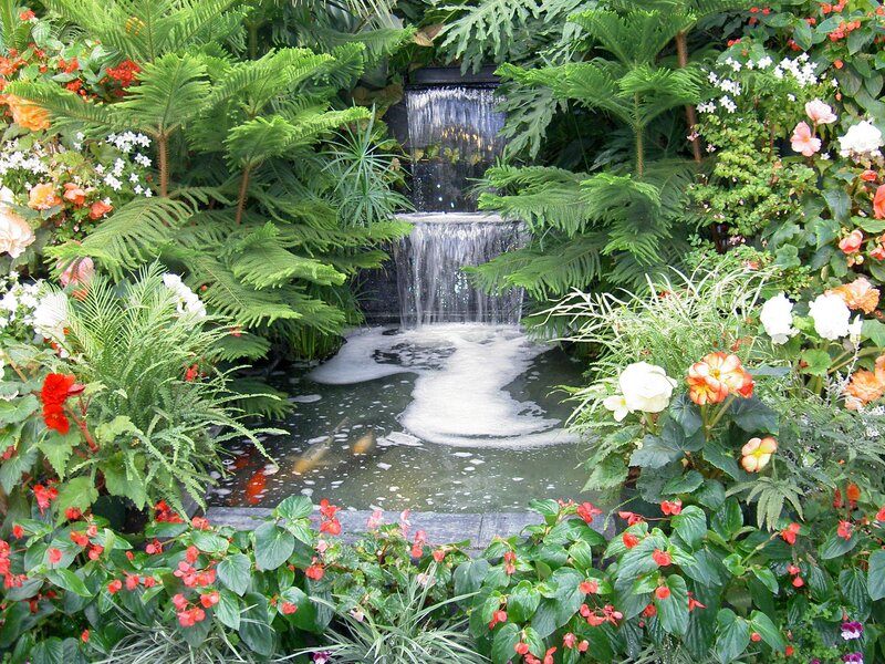 Garden waterfall with koi pond