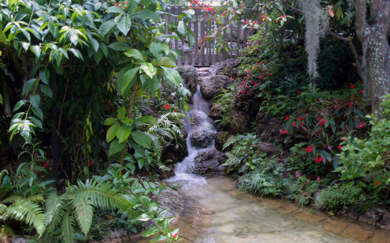 Garden waterfall with lush greenery