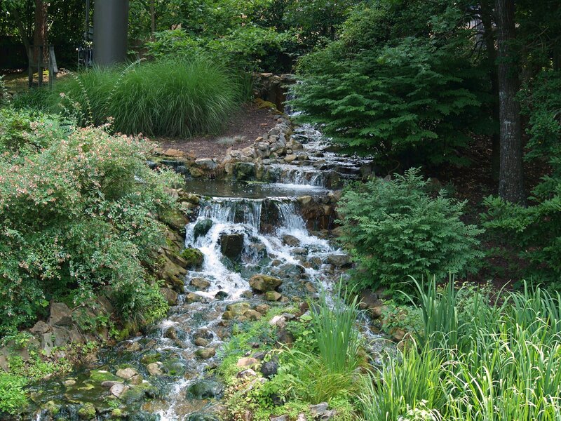 Garden waterfall with lush greenery