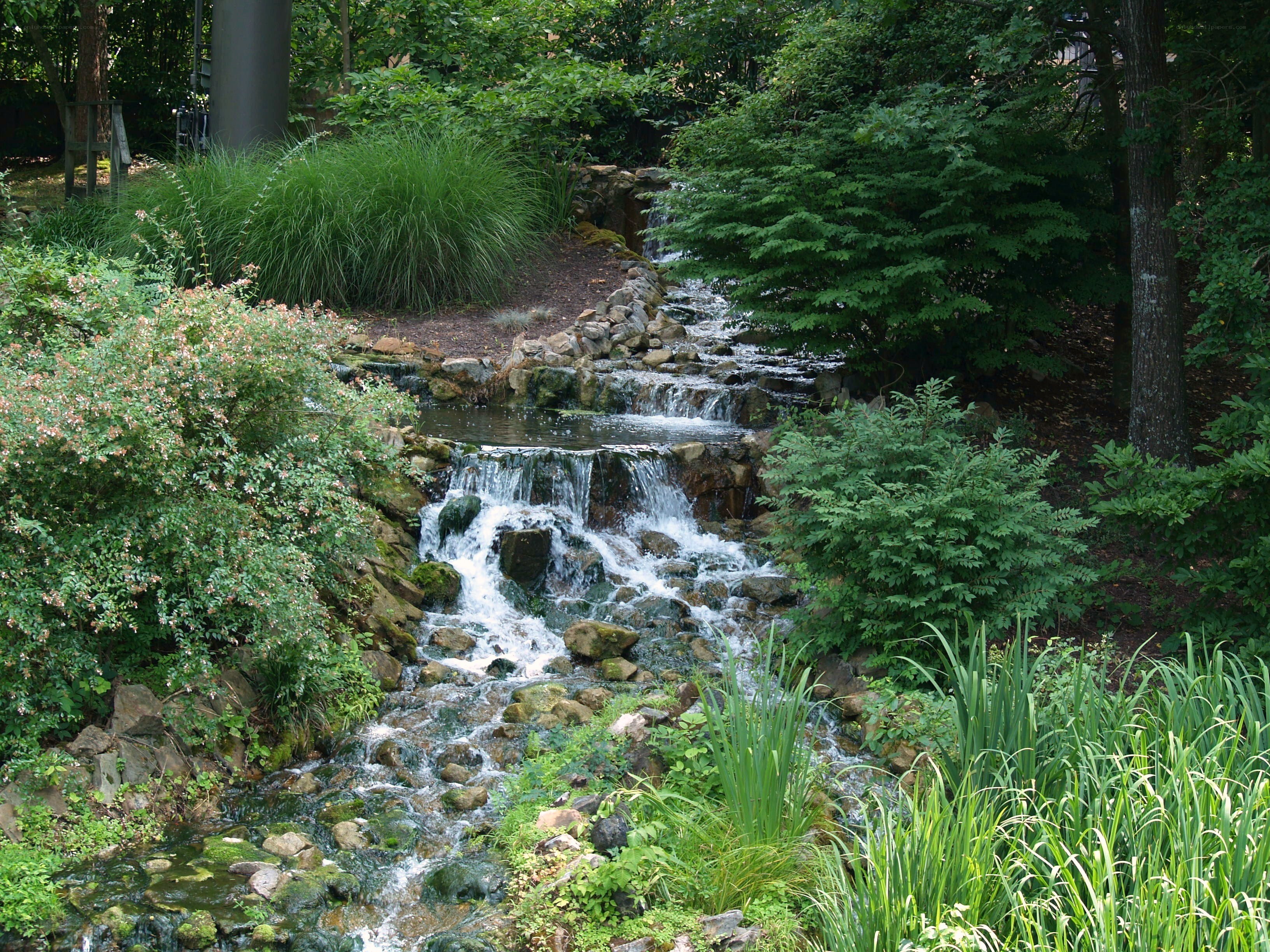 Garden waterfall with lush greenery