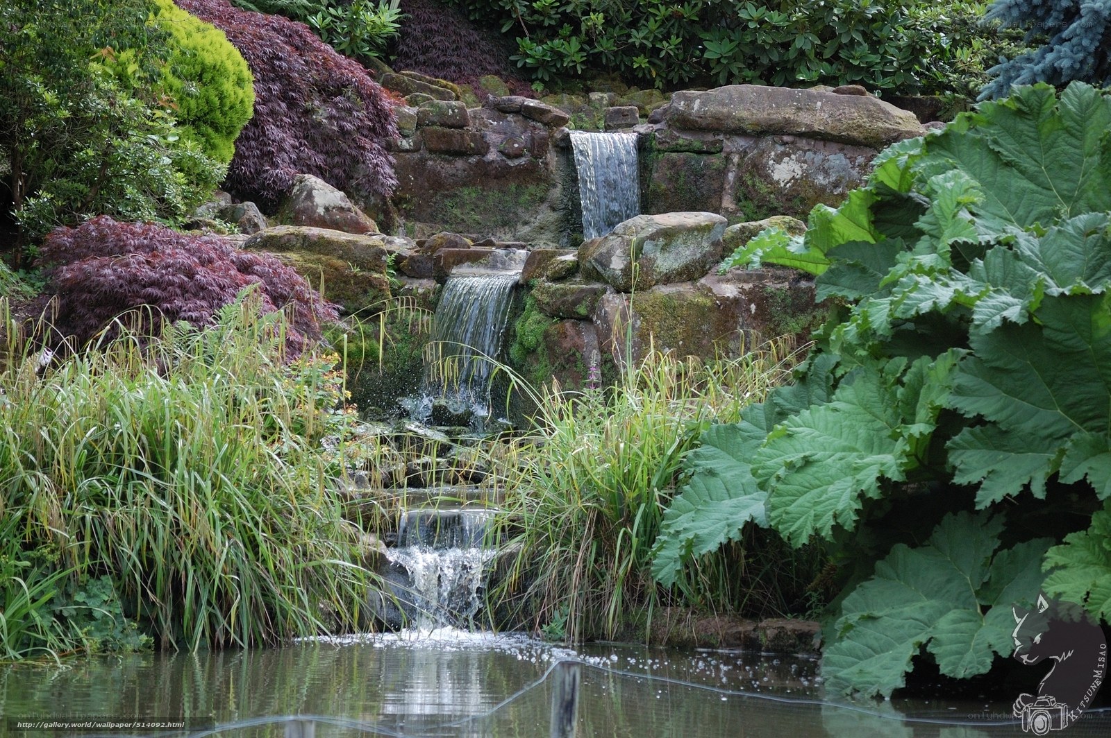 Garden waterfall with lush plants