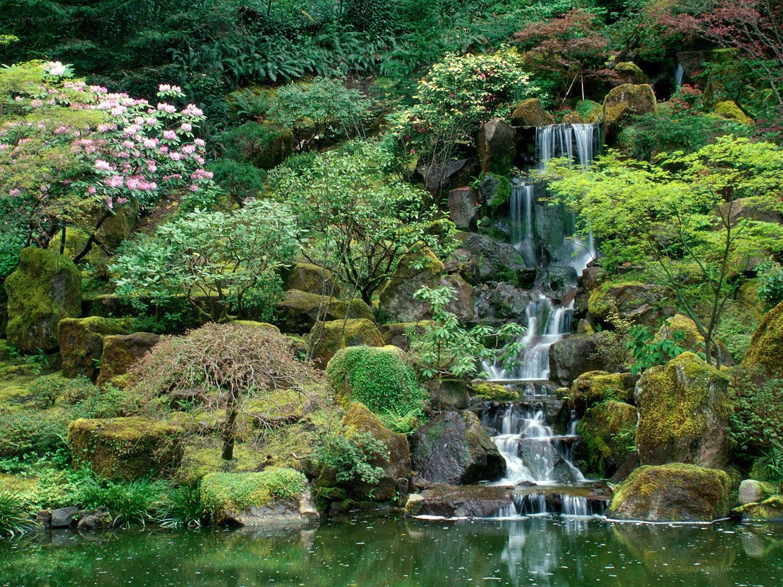 Garden waterfall with mossy rocks