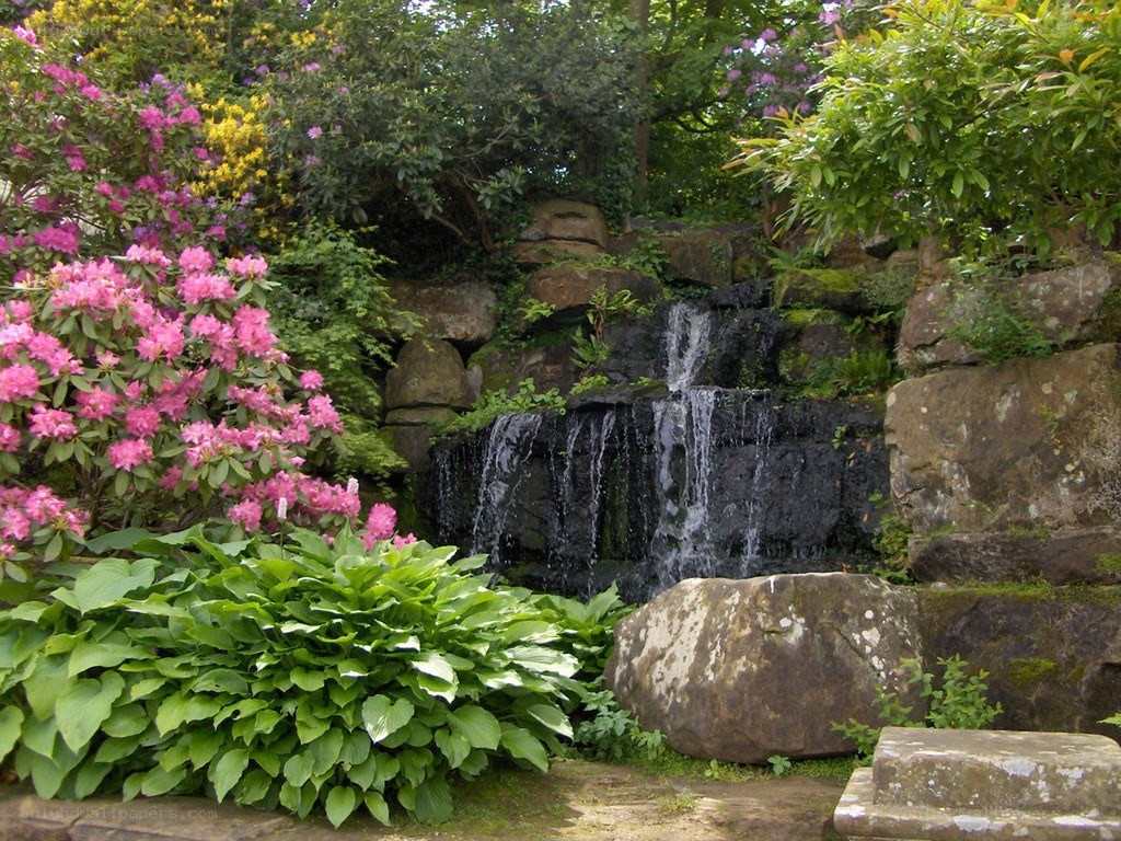 Garden waterfall with pink flowers