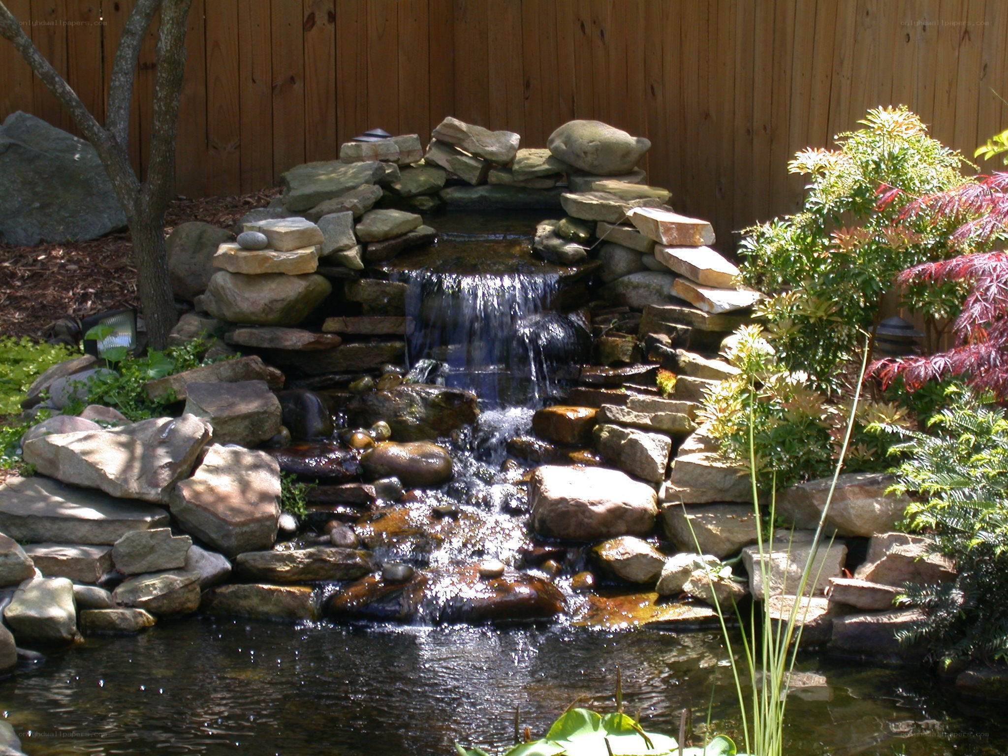Garden waterfall with pond
