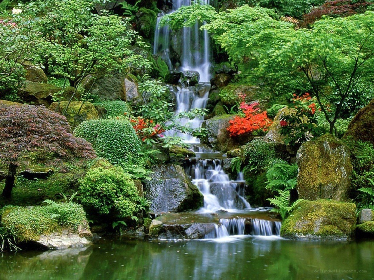 Garden waterfall with red flowers