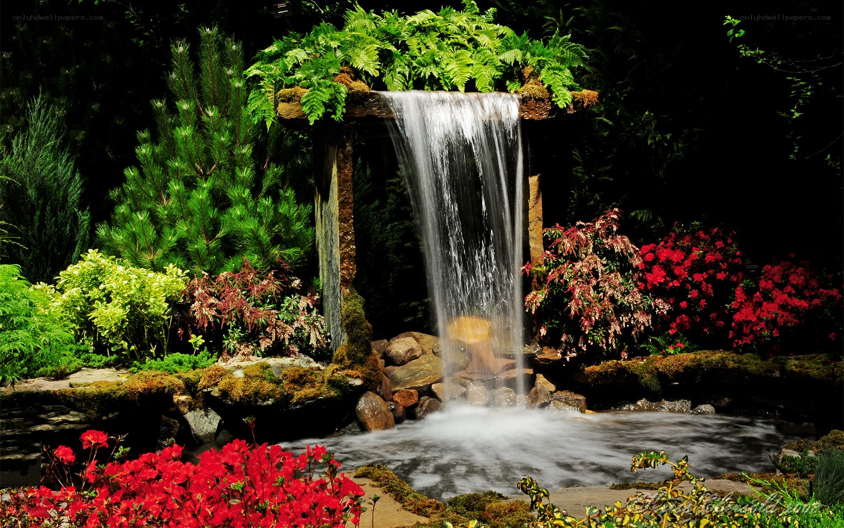 Garden waterfall with red flowers