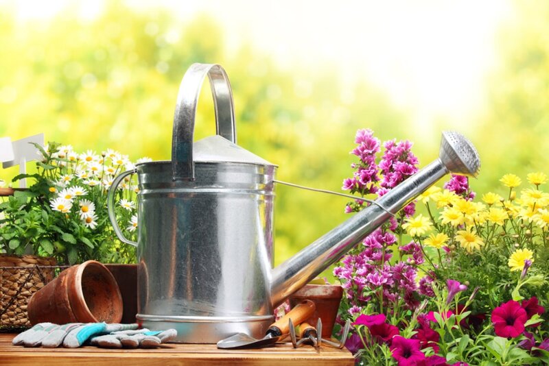 Garden Watering Can