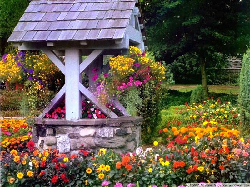 Garden Well with Flowers