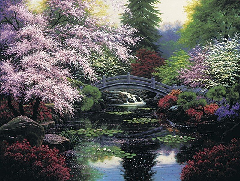 Garden with a bridge and waterfall