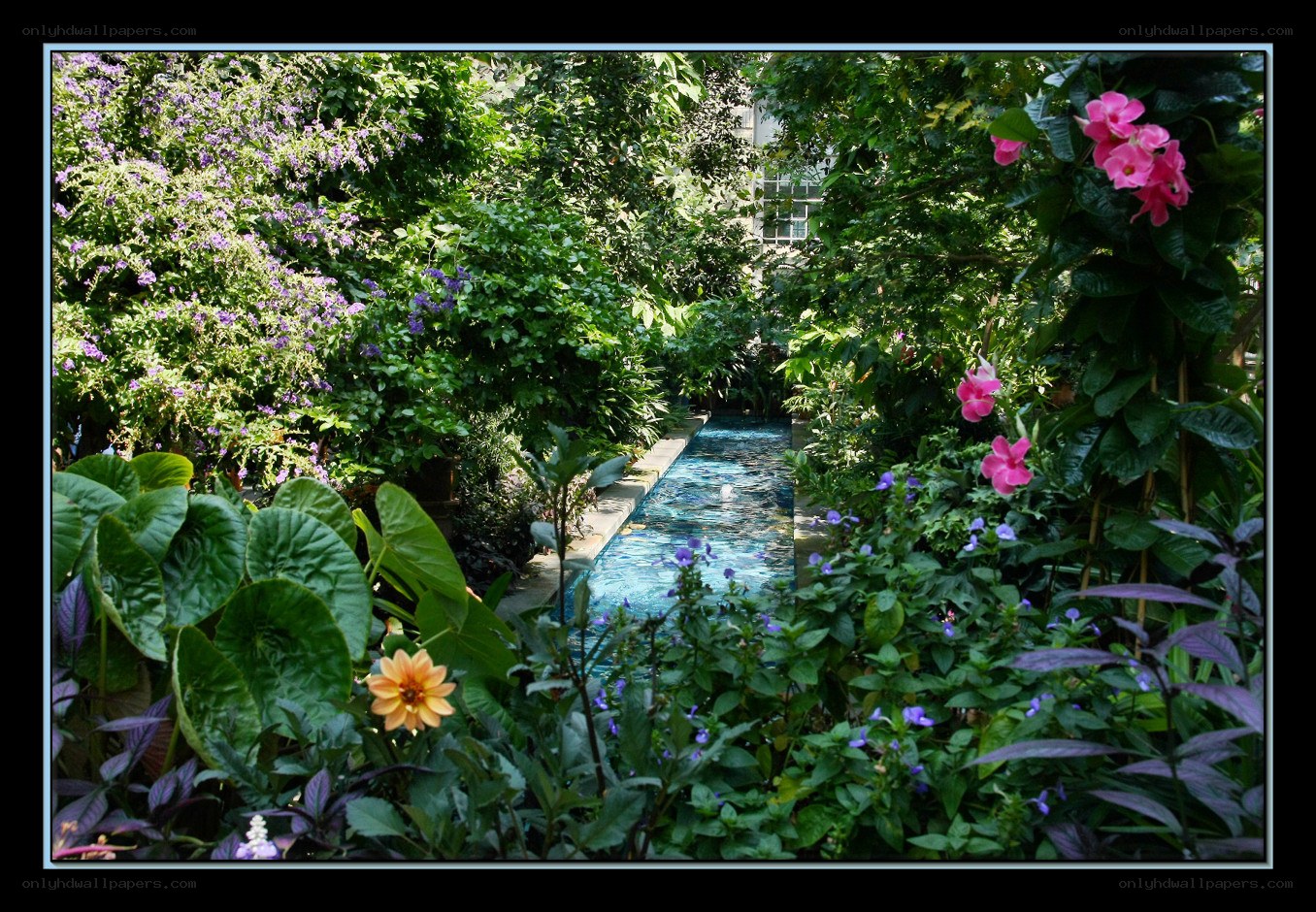 Garden with a water feature